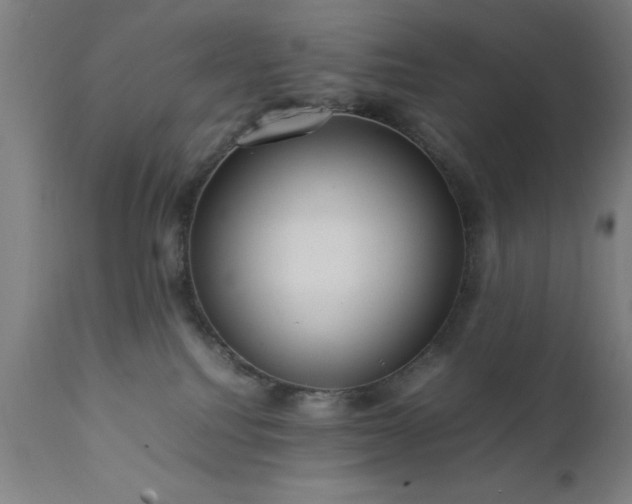 X0000111810088200907301243