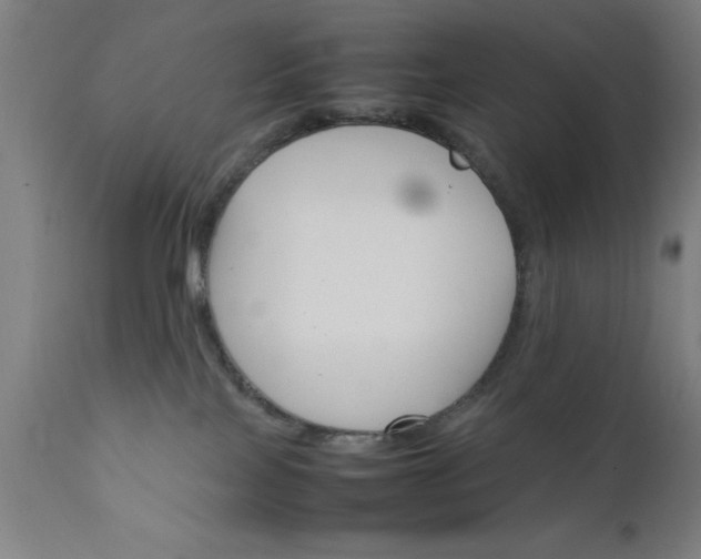 X0000111810089200907301243