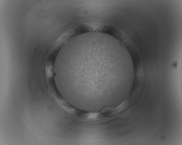 X0000111810090200907301243