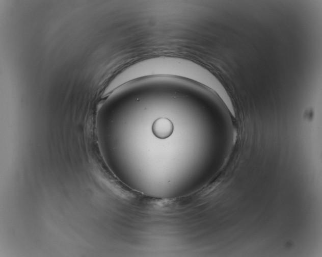 X0000111810092200907301243