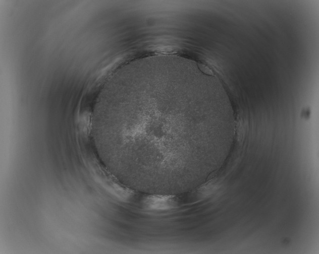 X0000111810093200907301243