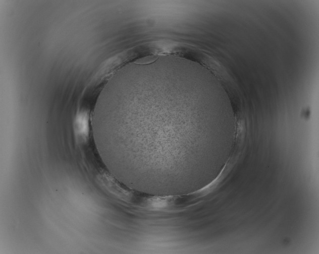 X0000111810094200907301243