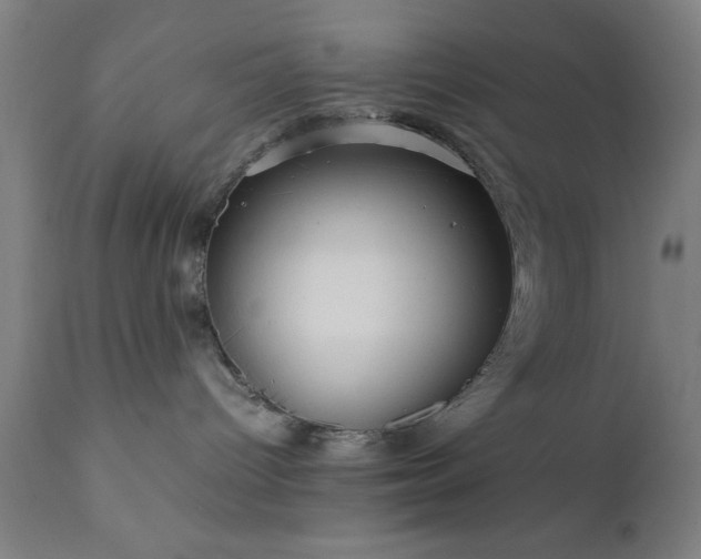 X0000111810096200907301243