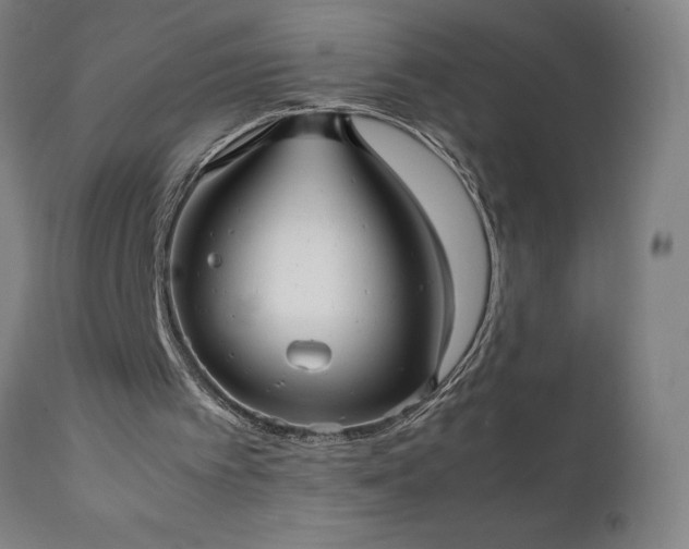 X0000111810097200907301242