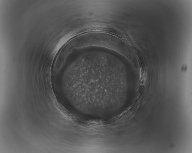X0000111810099200907301242