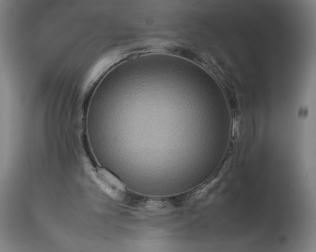 X0000111810101200907301242