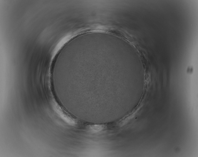 X0000111810102200907301242