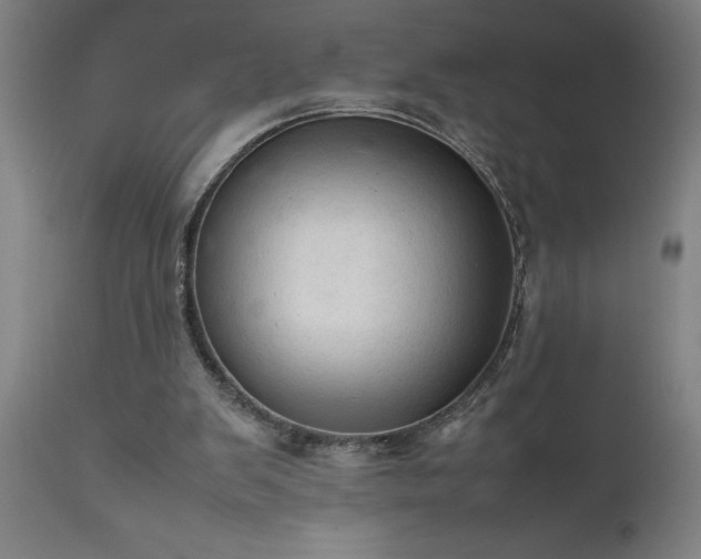 X0000111810103200907301242