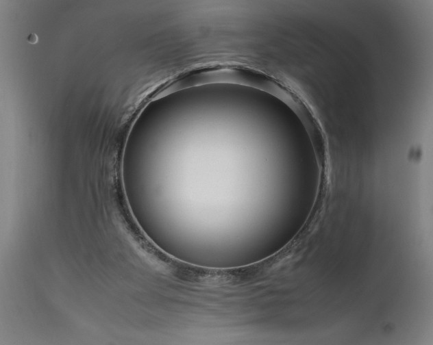 X0000111810105200907301242