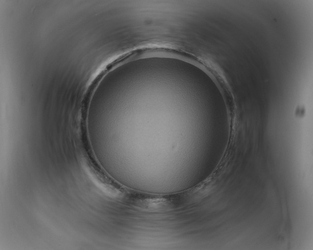 X0000111810108200907301242