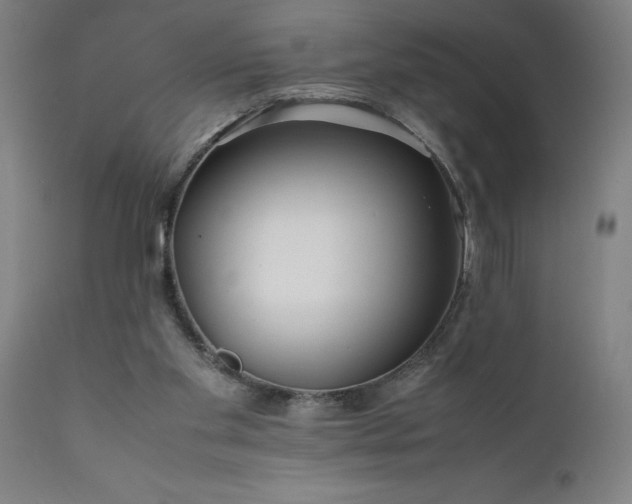 X0000111810109200907301242