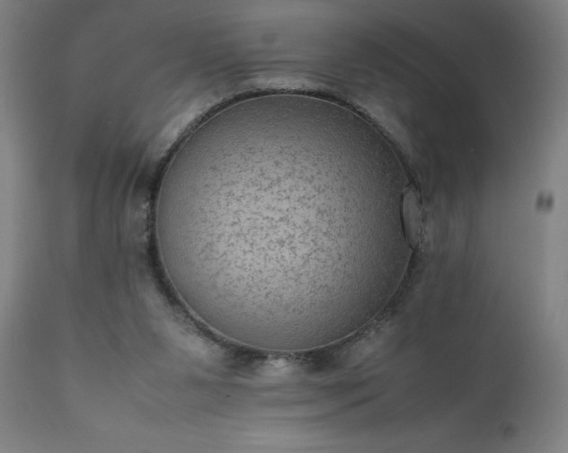 X0000111810111200907301242