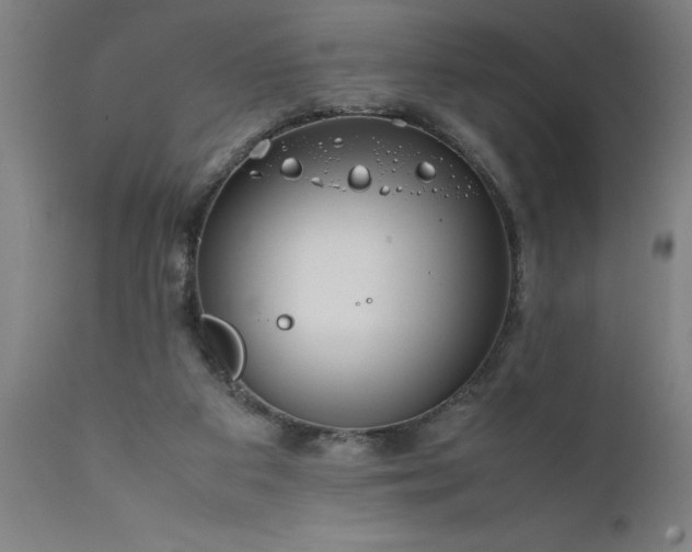 X0000111810113200907301242