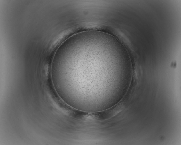 X0000111810115200907301242
