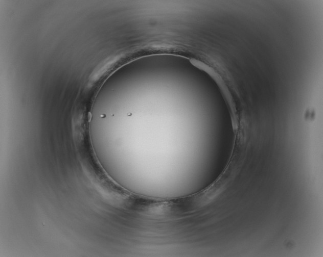 X0000111810116200907301242