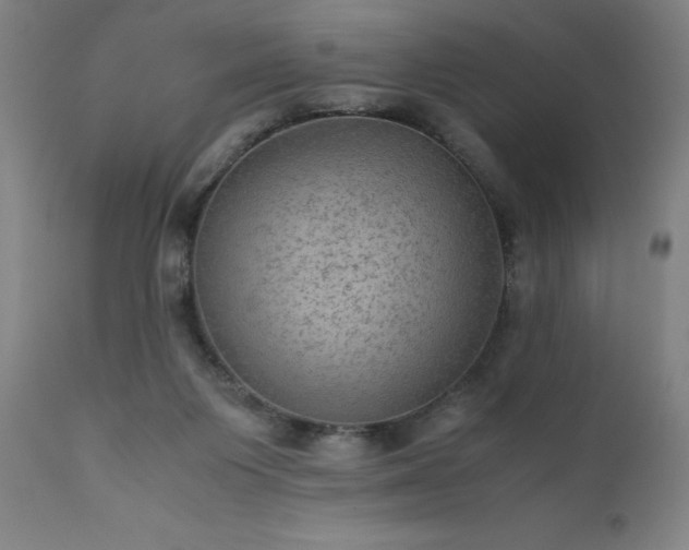 X0000111810119200907301242