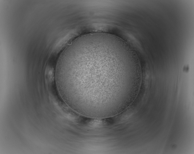 X0000111810123200907301242