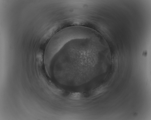 X0000111810127200907301242