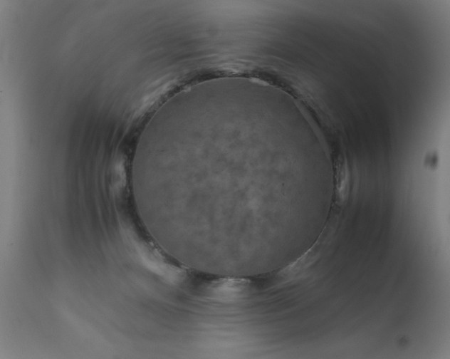 X0000111810128200907301242