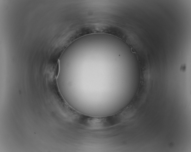 X0000111810129200907301242