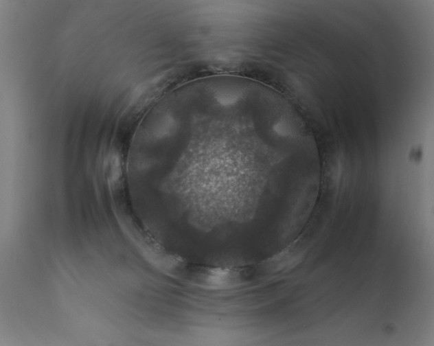 X0000111810130200907301242