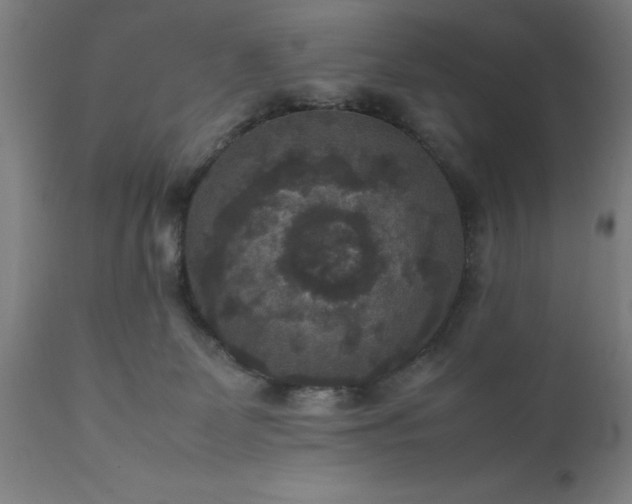 X0000111810131200907301242