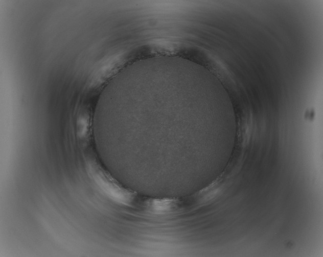 X0000111810134200907301242