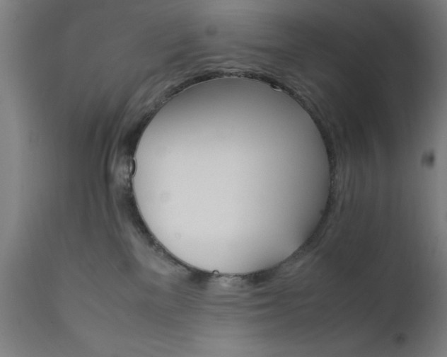 X0000111810137200907301242