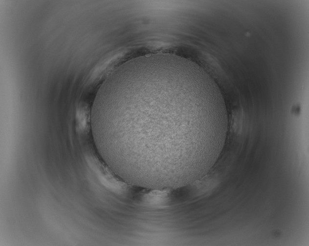 X0000111810138200907301241