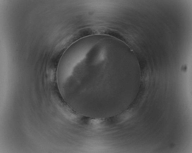 X0000111810139200907301241