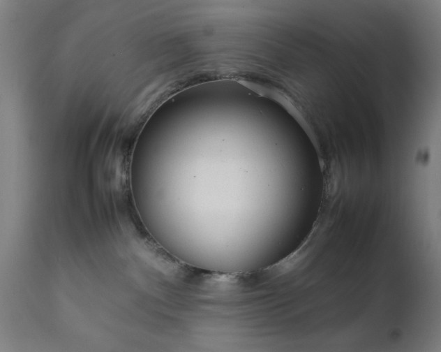 X0000111810140200907301241