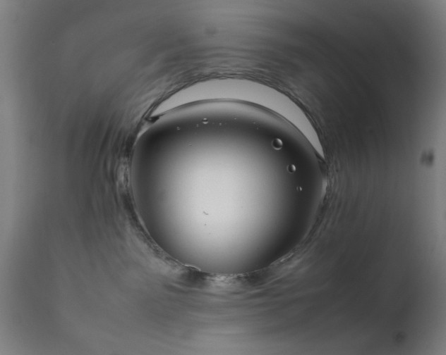 X0000111810141200907301241
