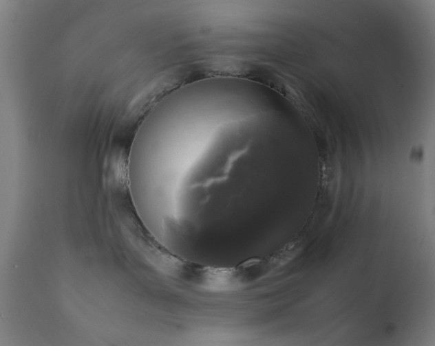 X0000111810143200907301241