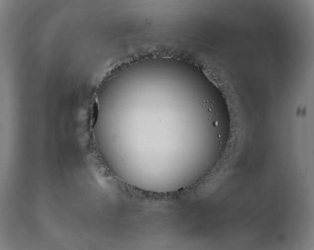 X0000111810144200907301241