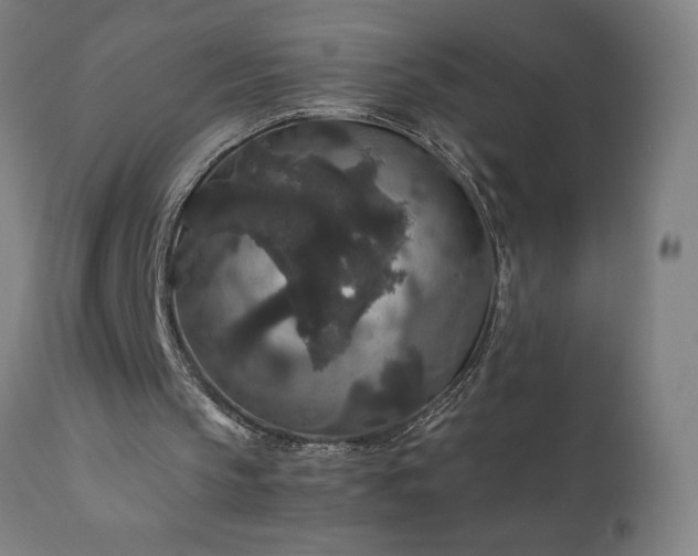 X0000111810145200907301241