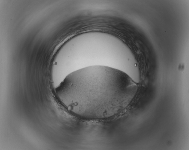 X0000111810146200907301241