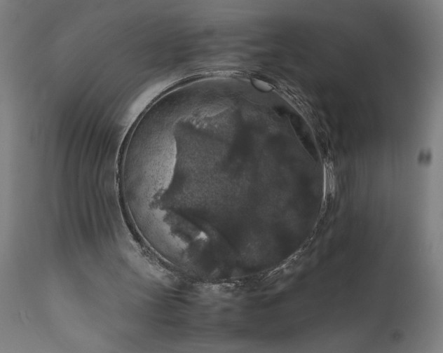 X0000111810147200907301241