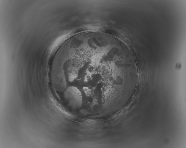 X0000111810149200907301241