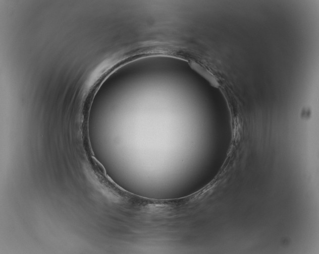 X0000111810150200907301241