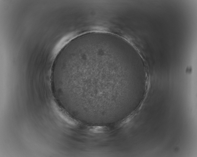 X0000111810151200907301241