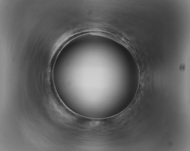 X0000111810152200907301241