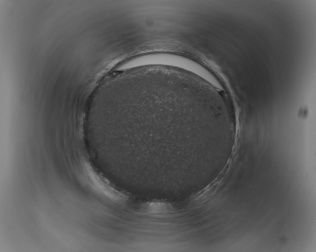 X0000111810154200907301241