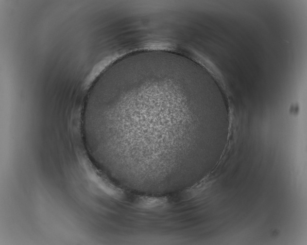 X0000111810155200907301241