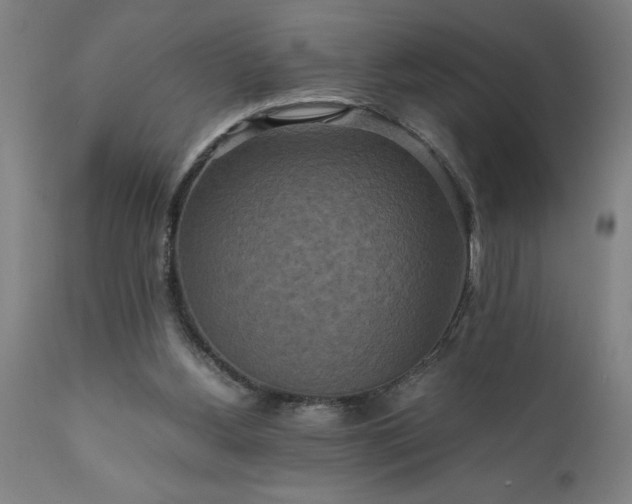 X0000111810156200907301241