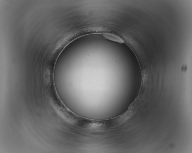 X0000111810158200907301241