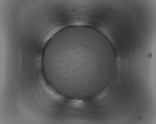 X0000111810159200907301241