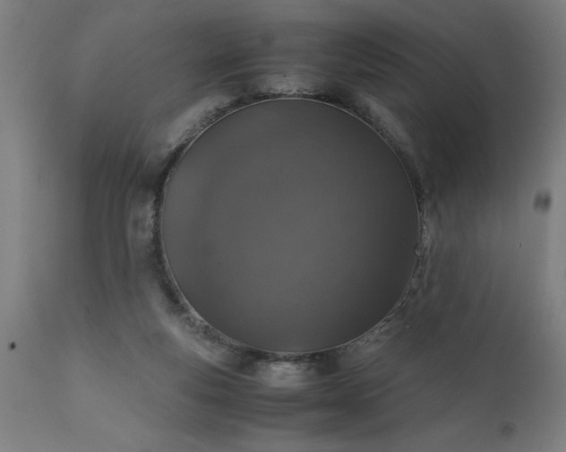 X0000111810163200907301241