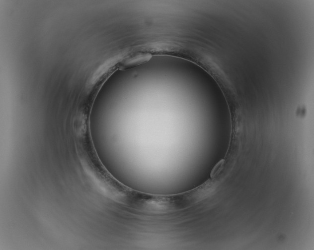 X0000111810164200907301241