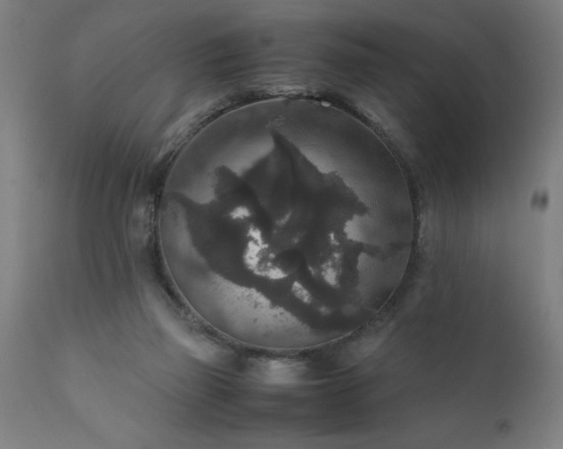 X0000111810165200907301241