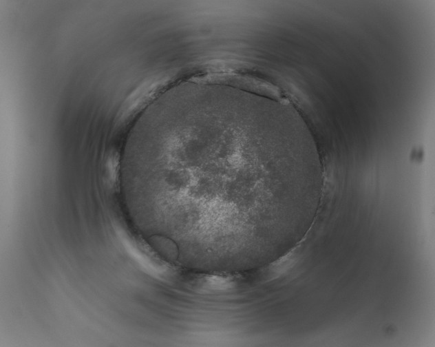 X0000111810166200907301241